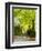 Tree Lined Road with Bright Green Trees-Terry Eggers-Framed Photographic Print