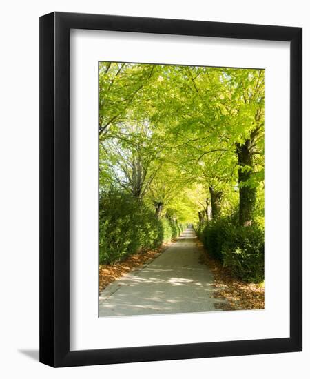 Tree Lined Road with Bright Green Trees-Terry Eggers-Framed Photographic Print