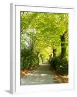 Tree Lined Road with Bright Green Trees-Terry Eggers-Framed Photographic Print