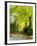 Tree Lined Road with Bright Green Trees-Terry Eggers-Framed Photographic Print