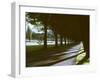 Tree Lined Roadway Somewhere in Provence-Gjon Mili-Framed Photographic Print