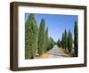 Tree Lined Rural Road, Val D'Orcia, Siena Province, Tuscany, Italy, Europe-Sergio Pitamitz-Framed Photographic Print