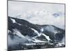 Tree Lined Ski Slopes, Whistler Mountain Resort-Christian Kober-Mounted Photographic Print