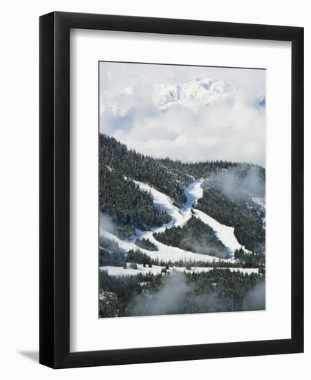 Tree Lined Ski Slopes, Whistler Mountain Resort-Christian Kober-Framed Photographic Print