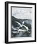 Tree Lined Ski Slopes, Whistler Mountain Resort-Christian Kober-Framed Photographic Print