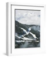 Tree Lined Ski Slopes, Whistler Mountain Resort-Christian Kober-Framed Photographic Print