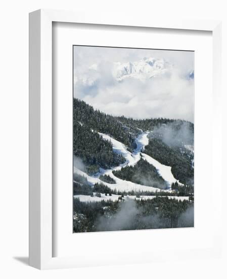 Tree Lined Ski Slopes, Whistler Mountain Resort-Christian Kober-Framed Photographic Print