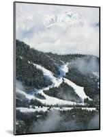Tree Lined Ski Slopes, Whistler Mountain Resort-Christian Kober-Mounted Photographic Print