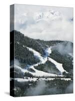 Tree Lined Ski Slopes, Whistler Mountain Resort-Christian Kober-Stretched Canvas