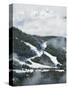 Tree Lined Ski Slopes, Whistler Mountain Resort-Christian Kober-Stretched Canvas