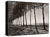 Tree Lined Street Along the Shore of Beautiful Shores of Lake Balaton-Margaret Bourke-White-Stretched Canvas