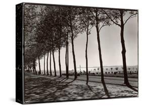 Tree Lined Street Along the Shore of Beautiful Shores of Lake Balaton-Margaret Bourke-White-Stretched Canvas