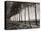 Tree Lined Street Along the Shore of Beautiful Shores of Lake Balaton-Margaret Bourke-White-Stretched Canvas