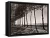 Tree Lined Street Along the Shore of Beautiful Shores of Lake Balaton-Margaret Bourke-White-Framed Stretched Canvas