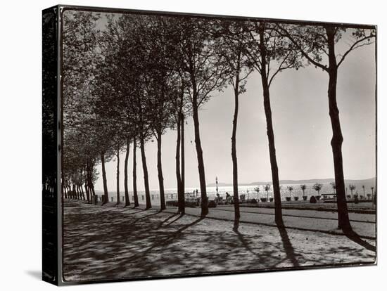 Tree Lined Street Along the Shore of Beautiful Shores of Lake Balaton-Margaret Bourke-White-Stretched Canvas