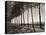 Tree Lined Street Along the Shore of Beautiful Shores of Lake Balaton-Margaret Bourke-White-Stretched Canvas