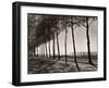 Tree Lined Street Along the Shore of Beautiful Shores of Lake Balaton-Margaret Bourke-White-Framed Photographic Print