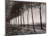 Tree Lined Street Along the Shore of Beautiful Shores of Lake Balaton-Margaret Bourke-White-Mounted Photographic Print