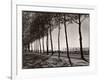 Tree Lined Street Along the Shore of Beautiful Shores of Lake Balaton-Margaret Bourke-White-Framed Photographic Print