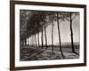 Tree Lined Street Along the Shore of Beautiful Shores of Lake Balaton-Margaret Bourke-White-Framed Photographic Print