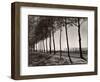 Tree Lined Street Along the Shore of Beautiful Shores of Lake Balaton-Margaret Bourke-White-Framed Photographic Print