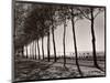 Tree Lined Street Along the Shore of Beautiful Shores of Lake Balaton-Margaret Bourke-White-Mounted Photographic Print