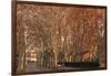 Tree Lined Streets in the Industrial Suburb of Santa Coloma De Cervello, Spain-Paul Dymond-Framed Photographic Print