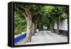 Tree Lined Walkway around the Village of Obidos-Julianne Eggers-Framed Stretched Canvas