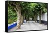 Tree Lined Walkway around the Village of Obidos-Julianne Eggers-Framed Stretched Canvas