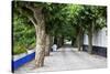 Tree Lined Walkway around the Village of Obidos-Julianne Eggers-Stretched Canvas