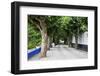 Tree Lined Walkway around the Village of Obidos-Julianne Eggers-Framed Photographic Print