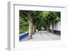 Tree Lined Walkway around the Village of Obidos-Julianne Eggers-Framed Photographic Print