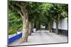 Tree Lined Walkway around the Village of Obidos-Julianne Eggers-Mounted Photographic Print