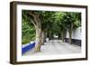 Tree Lined Walkway around the Village of Obidos-Julianne Eggers-Framed Photographic Print