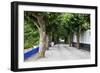 Tree Lined Walkway around the Village of Obidos-Julianne Eggers-Framed Photographic Print