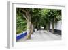 Tree Lined Walkway around the Village of Obidos-Julianne Eggers-Framed Photographic Print