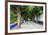 Tree Lined Walkway around the Village of Obidos-Julianne Eggers-Framed Photographic Print