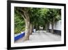 Tree Lined Walkway around the Village of Obidos-Julianne Eggers-Framed Photographic Print