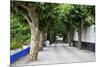 Tree Lined Walkway around the Village of Obidos-Julianne Eggers-Mounted Photographic Print