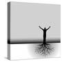 Tree Man Roots-mike301-Stretched Canvas