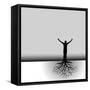 Tree Man Roots-mike301-Framed Stretched Canvas