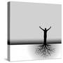 Tree Man Roots-mike301-Stretched Canvas