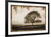 Tree Meadow I-Lucy Meadows-Framed Giclee Print
