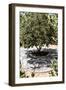 Tree Mozaic-Shot by Clint-Framed Giclee Print