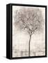 Tree of Birds I-Tim OToole-Framed Stretched Canvas