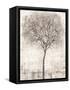 Tree of Birds I-Tim OToole-Framed Stretched Canvas