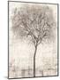 Tree of Birds I-Tim OToole-Mounted Art Print