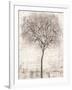 Tree of Birds I-Tim OToole-Framed Art Print