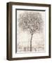 Tree of Birds I-Tim OToole-Framed Art Print