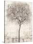 Tree of Birds I-Tim OToole-Stretched Canvas